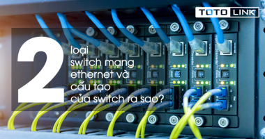 Các loại Switch mạng Ethernet có thể bạn chưa biết và cấu tạo của Switch ra sao?