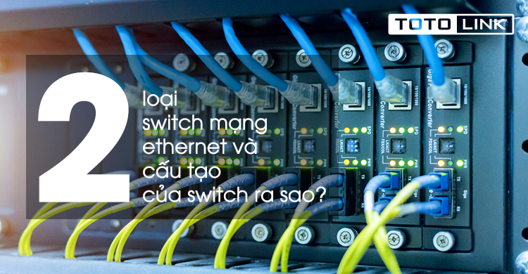 Các loại Switch mạng Ethernet có thể bạn chưa biết và cấu tạo của Switch ra sao?