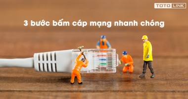 Hướng dẫn 3 bước bấm cáp mạng nhanh chóng