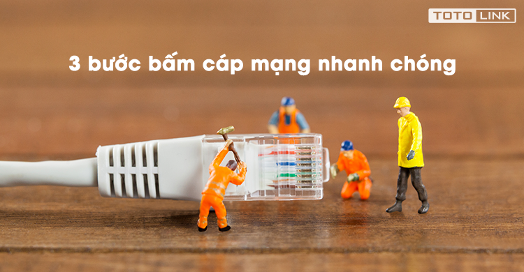 Hướng dẫn 3 bước bấm cáp mạng nhanh chóng